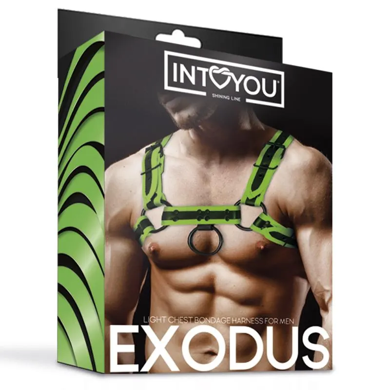 Arnés Bondage para Pecho que Brilla en la Oscuridad · INTOYOU SHINING LINE · Spanking y Azotes — photo 6