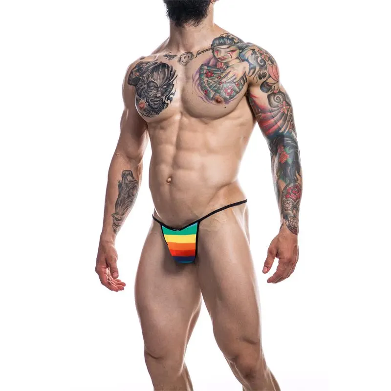 C4M12 Briefkini Arcoiris Rainbow · CUT4MEN · Tangas y Braguitas