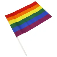 Banderin Grande Colores Bandera LGBT+ · DIVERTY SEX · Línea LGBT+