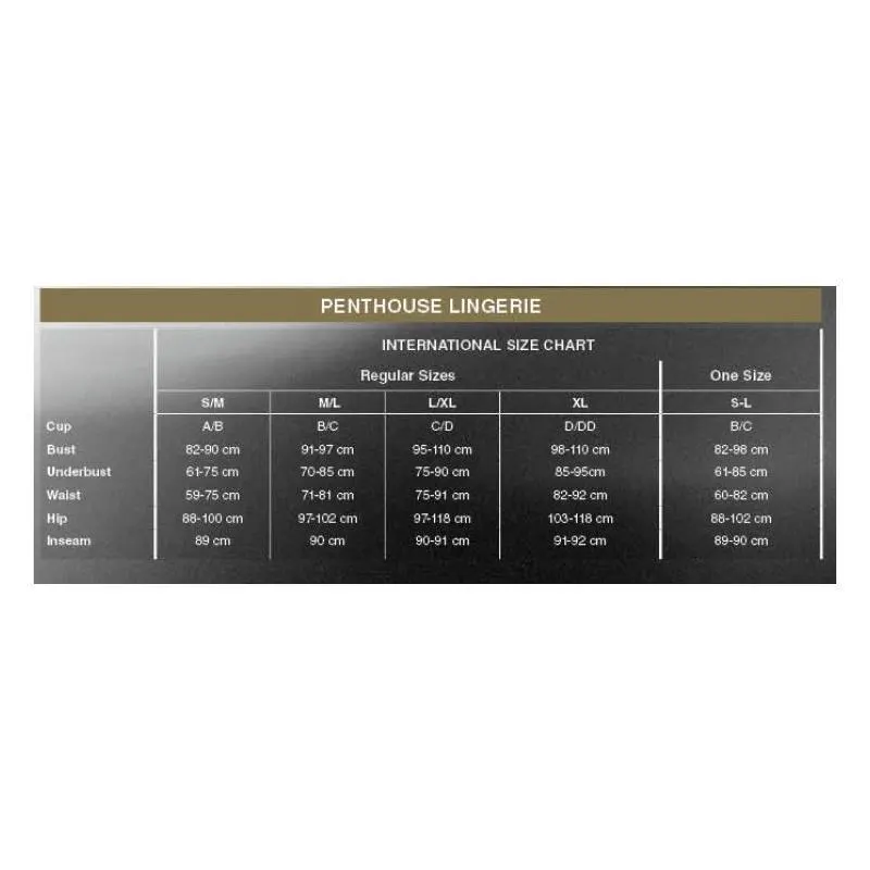 Salute Me Body de Rejilla · S-L · PENTHOUSE · Conjuntos y Bodies — Foto 3