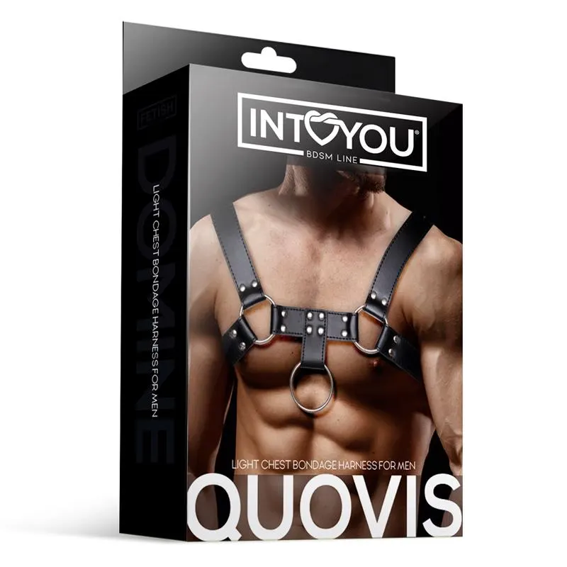 Quovis Arnés Masculino para Bondage Cuero Vegano · INTOYOU BDSM LINE · Spanking y Azotes — Foto 4