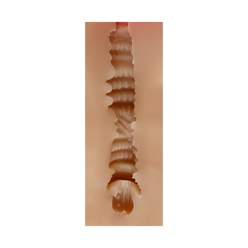 Masturbador Masculino Vagina Judith Skin · SHEQU · Masturbadores Él — Foto 4