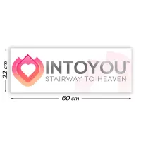 Cartel Promocional Intoyou 60 cm x 22 cm · INTOYOU · Juegos y Complementos Divertidos