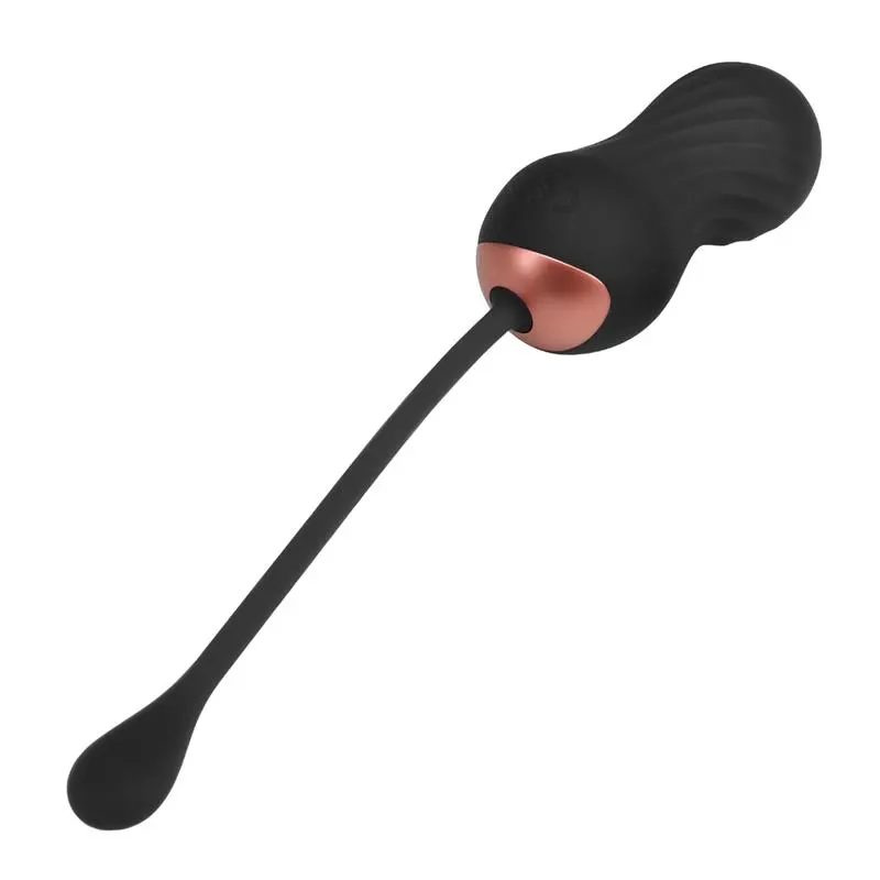 Zigzag Huevo Zigzageante y Vibrador con Control Remoto · TARDENOCHE · Huevos y Balas Vibradoras — photo 5