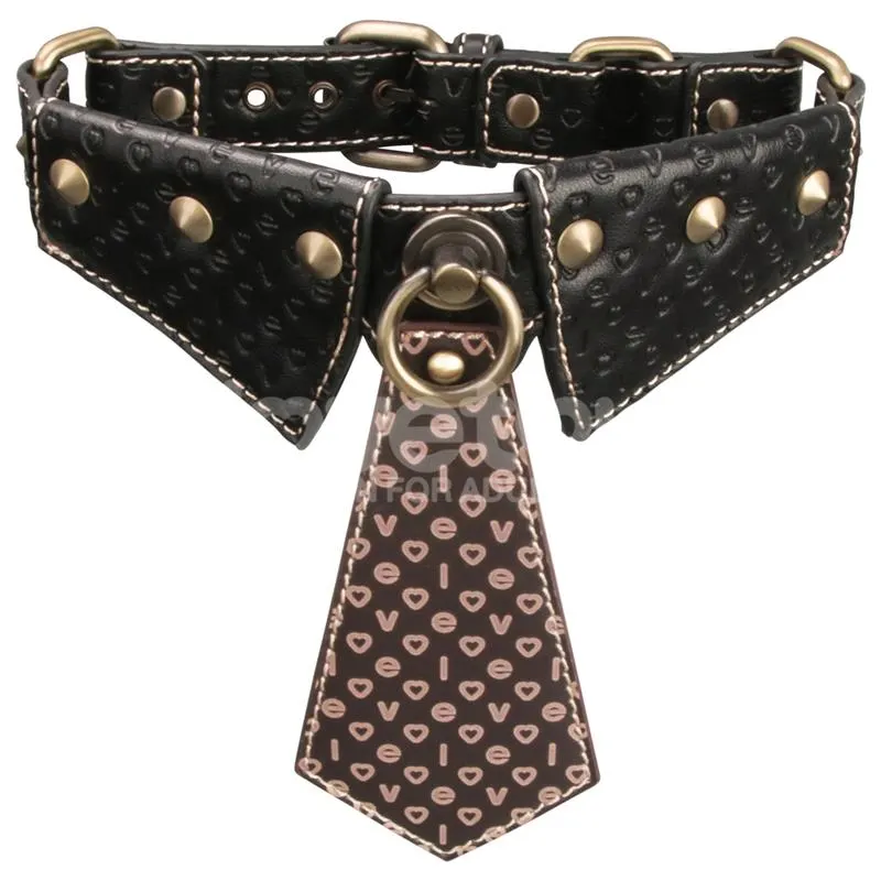 Rebellion Reign Collar con Cadena · LOVETOY · Accesorios BDSM y Fetish — photo 2