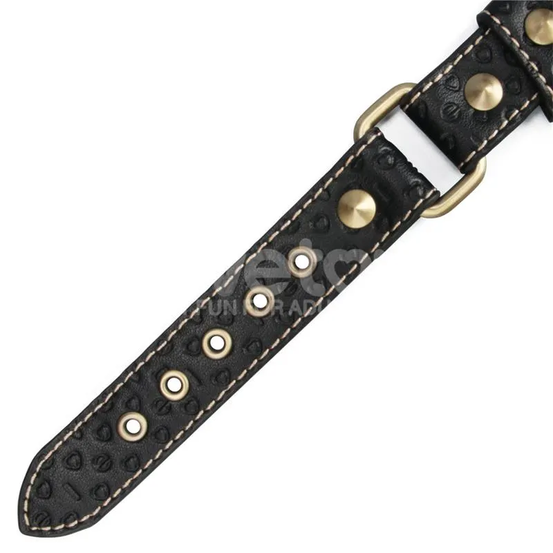 Rebellion Reign Collar con Cadena · LOVETOY · Accesorios BDSM y Fetish — photo 6