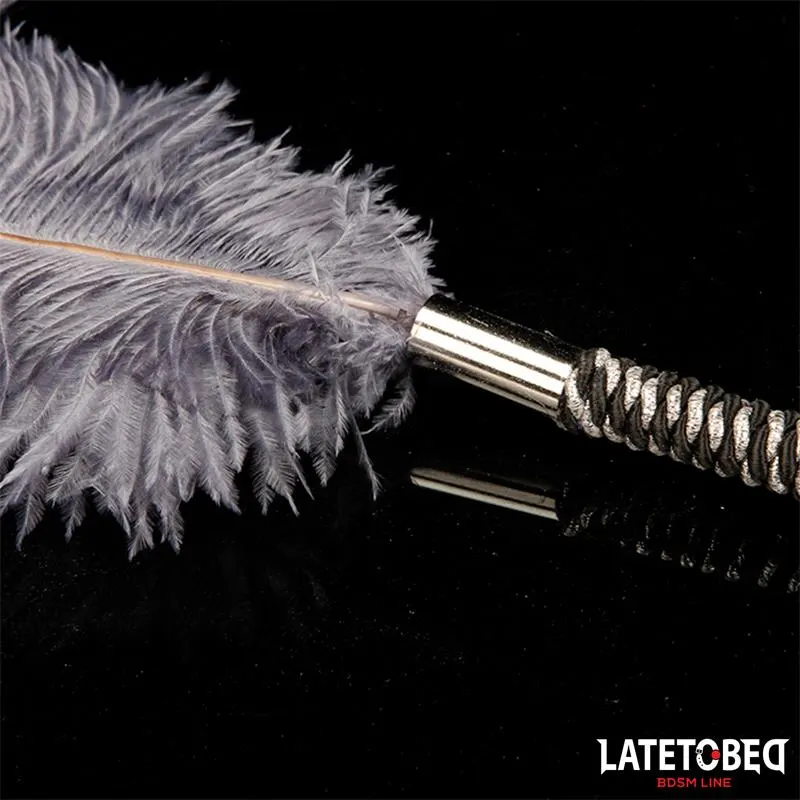 Pluma Estimuladora 44 cm · LATETOBED BDSM LINE · Accesorios y Sets — photo 3