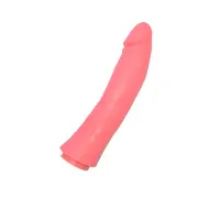 Pene Antiestres Goma Rosa · DIVERTY SEX · Juegos y Complementos Divertidos