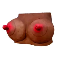 Hucha Forma de Pechos Mulata · DIVERTY SEX · Juegos y Complementos Divertidos