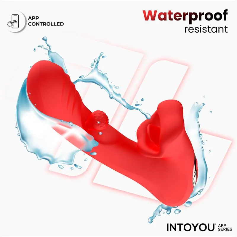 Franky Vibrador con Biting y Bola Rotativa con APP · INTOYOU APP SERIES · Vibradores — photo 6