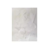 100 Pétalos  Color Blanco · DIVERTY SEX · Cuidado Íntimo y Masaje