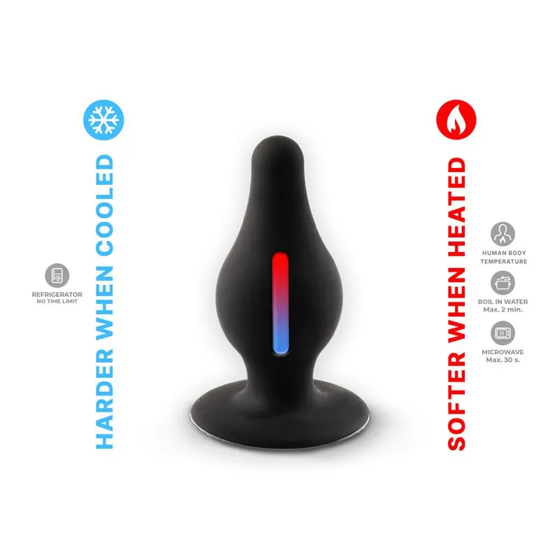 Plug Anal Model 2 Talla L Negro · SILEXD · Anal — photo 4