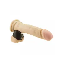 Anillo de Cuero para los Testículos con Varios Botones · BONDAGE PLAY · BONDAGE PLAY · Anillos para el Pene