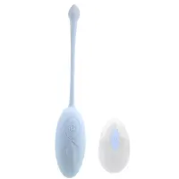 Huevos y Balas Vibradoras