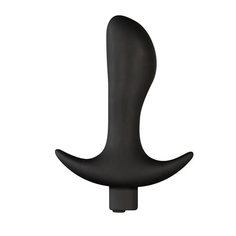 Lever Plug Anal con Vibración USB Silicona · TARDENOCHE · Anal — Foto 2