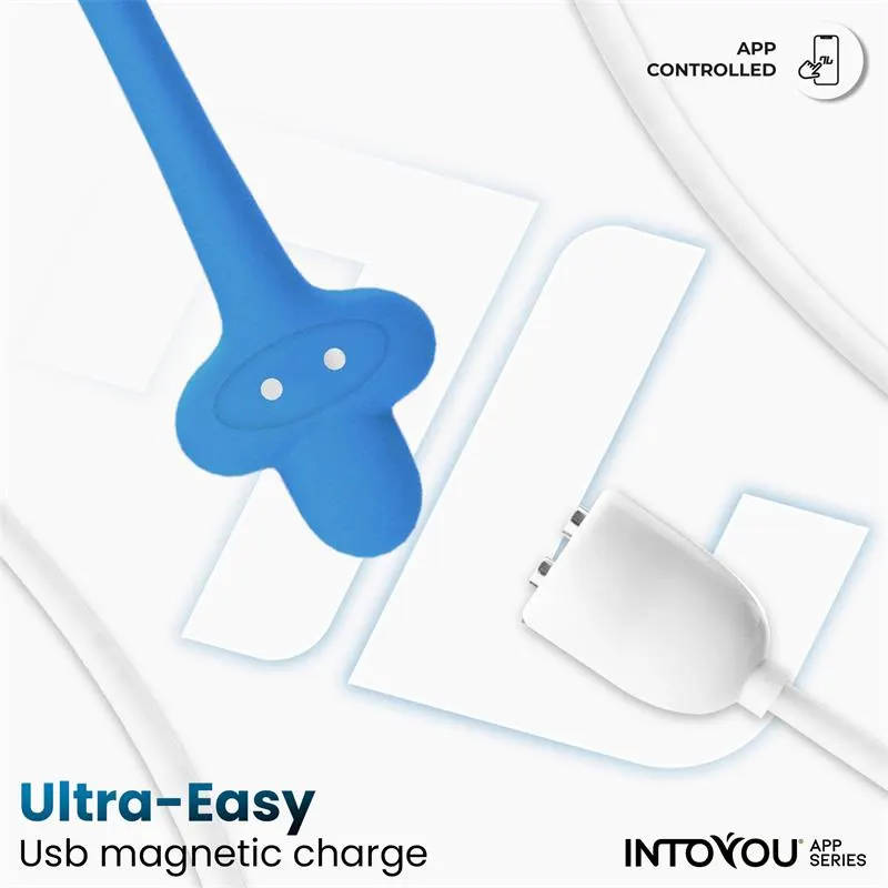 Huevo con Up and Down (Thrusting) y APP USB · INTOYOU APP SERIES · Huevos y Balas Vibradoras — photo 8