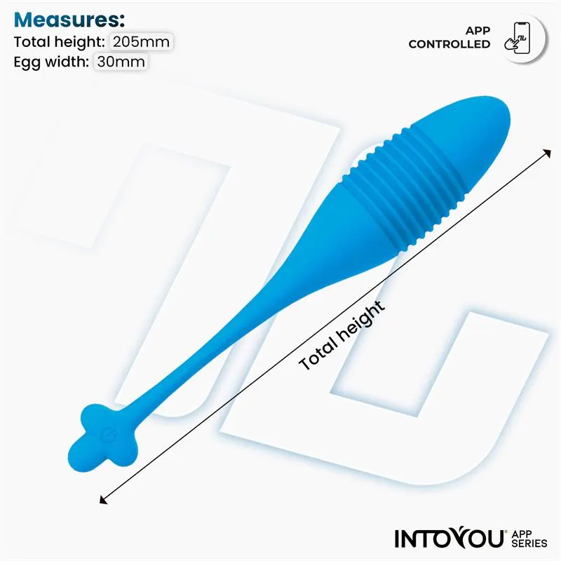 Huevo con Up and Down (Thrusting) y APP USB · INTOYOU APP SERIES · Huevos y Balas Vibradoras — photo 9