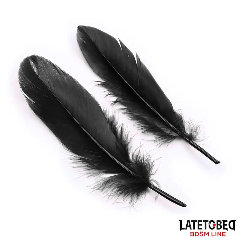 Set de 3 Piezas Antifaz, Esposas y Plumas Negro · LATETOBED BDSM LINE · Accesorios y Sets — foto 5
