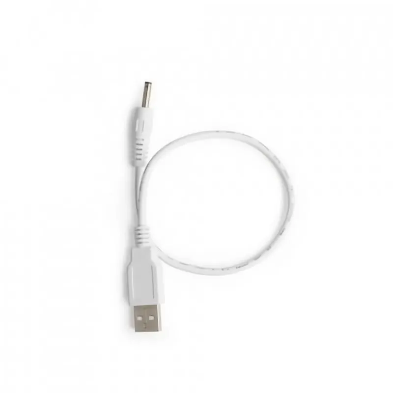 Cargador USB Productos LELO · LELO · Electroestimulación